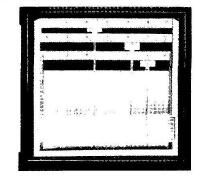 c9d3c952ccb91cda79a8d3cae63d4910.jpg c9d3c952ccb91cda79a8d3cae63d4910.jpg