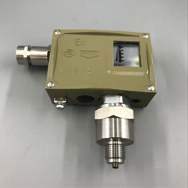 D511/7D防爆型壓力控制(zhì)器(qì)