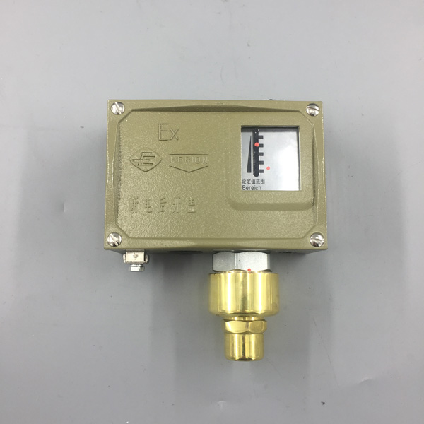 D502/7D防爆壓力控制(zhì)器(qì)