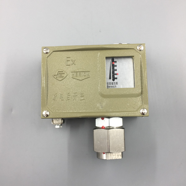 D501/7D防爆型壓力控制(zhì)器(qì)