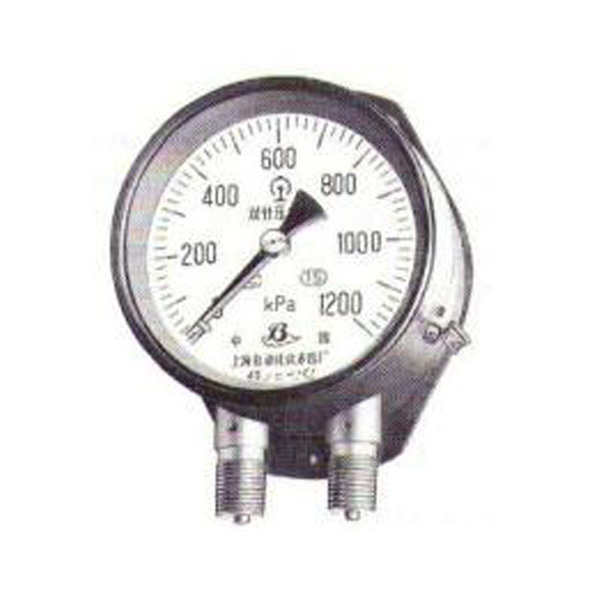 全不(bù)鏽鋼雙支雙管壓力表