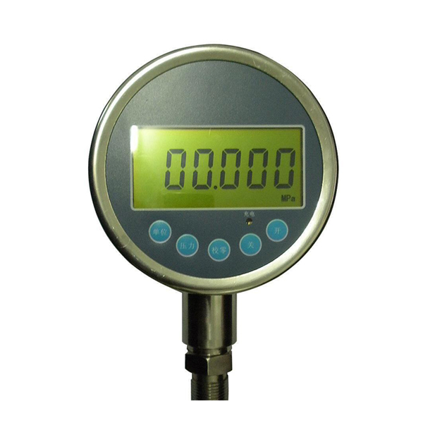 數(shù)顯精密壓力表