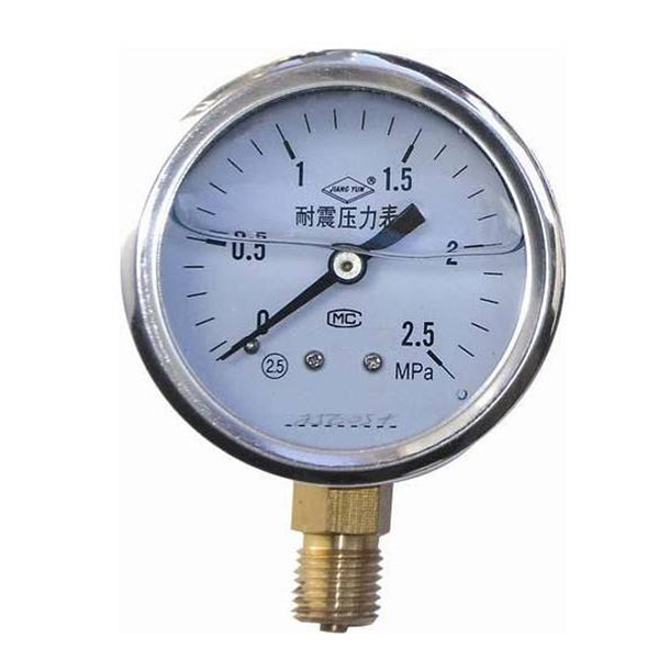 充油耐震壓力表