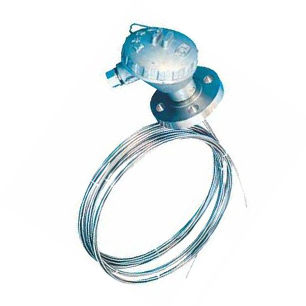 多(duō)點铠裝熱(rè)電(diàn)阻